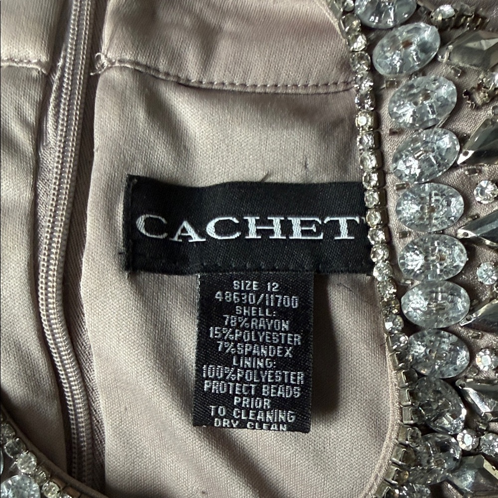 Cachet Taupe Mini Dress with Embellished Neckline - Picture 4 of 6